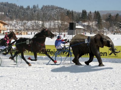 gemischtes_rennen_750.jpg