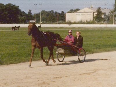 Undine
Im Training 1975 mit Undine aus dem Stall Noeff
