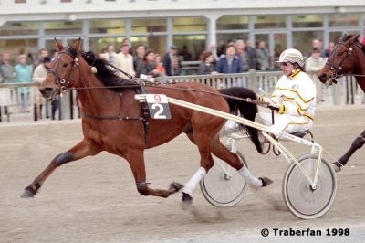 Dellaria
Schweden, geb. 1991, Delvin Kosmos - Kentara
Foto vom 19.4.1998, Wien-Krieau
