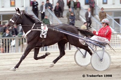 Dolcetto Real
geb. 1994, Dale Qui - Classical Gain
Sieger im Karl Druschkowitsch-Gedenkrennen 1998 mit Erich Kubes
Foto vom 19.4.1998, Wien-Krieau
