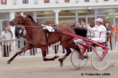 Fellow Shane
Deutschland, geb. 1990, Shane Scottseth - Lipara
Foto vom 19.4.1998, Wien-Krieau
