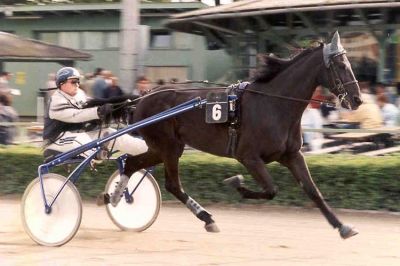 Baden, 25. Juli 2002
VEA-Cup mit Clöbello (3. Platz)
