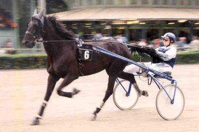 Baden, 25. Juli 2002
VEA-Cup mit Clöbello (3. Platz)
