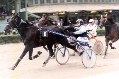 Baden, 25. Juli 2002
VEA-Cup mit Clöbello (3. Platz)
