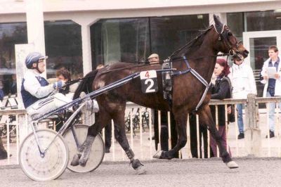 Wien Krieau, März 2002
VEA-Cup mit Jacinta Speed (unplatziert)
