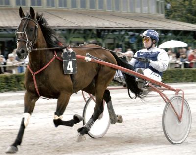 Baden, August 2002
VEA-Cup mit Königslehner (dis.)
