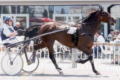 Wien Krieau, Juni 2002
VEA-Cup mit Lucky Ros (9. Platz)
