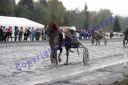 Dateiname=IMG_0354.JPG
Dateigröße=110KB
Abmessungen: 750x500
hinzugefügt am: 09. April 2016 IMG_0354.JPG