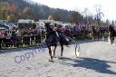 Dateiname=IMG_0187.JPG
Dateigröße=150KB
Abmessungen: 750x500
hinzugefügt am: 09. April 2016 IMG_0187.JPG