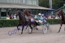 Dateiname=IMG_0543.JPG
Dateigröße=111KB
Abmessungen: 750x500
hinzugefügt am: 09. April 2016 IMG_0543.JPG