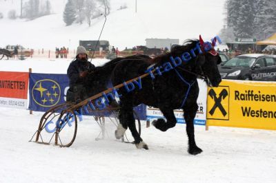 20100110_08_22.JPG
