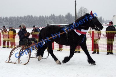 20100110_08_45.JPG