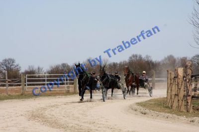 20100325_03_0062.JPG