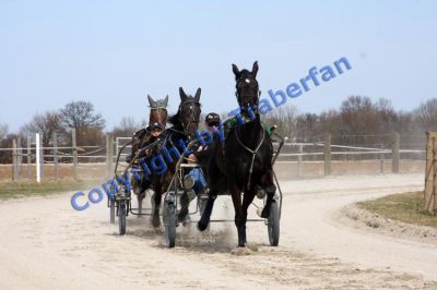 20100325_04_0005.JPG