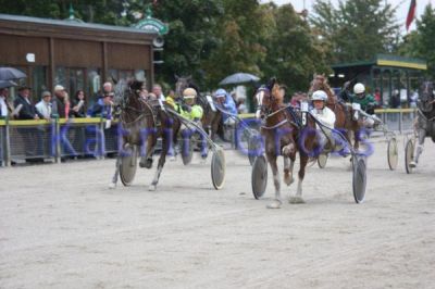 20100925_02_29.JPG