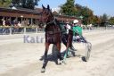 Dateiname=IMG_7297.JPG
Dateigröße=78KB
Abmessungen: 600x400
hinzugefügt am: 09. April 2016 IMG_7297.JPG
