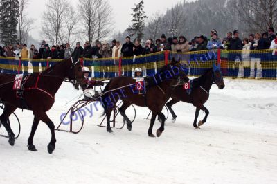 20120129_01_06.JPG