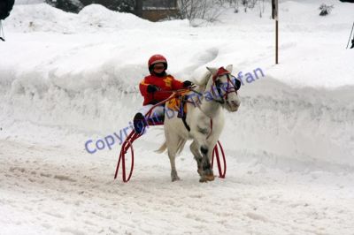 20120129_03_25.JPG