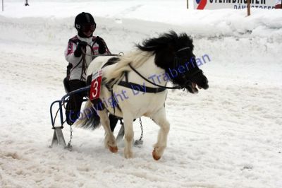 20120129_03_56.JPG