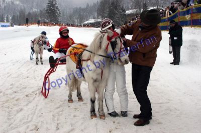 20120129_03_67.JPG