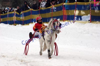 20120129_03_74.JPG