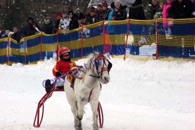 20120129_03_75.JPG