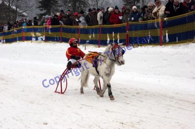 20120129_03_76.JPG
