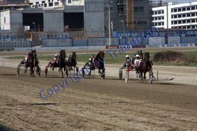 IMG_0467.JPG