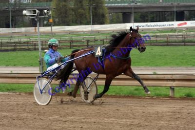 20120415_00_57.JPG