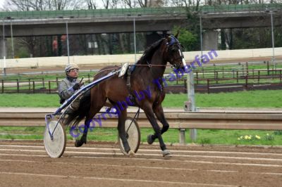 20120415_08_15.JPG