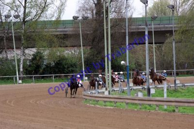 20120415_09_38.JPG