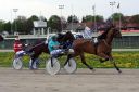20120429_04_70.JPG