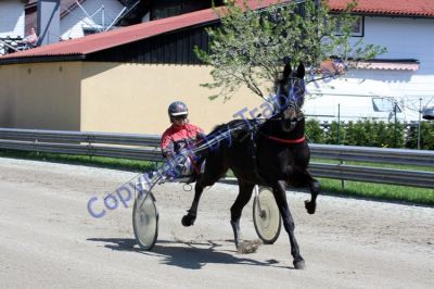 20120501_00_27.JPG