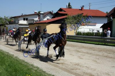 20120501_01_33.JPG