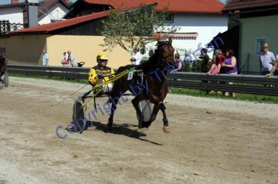 20120501_05_73.JPG
