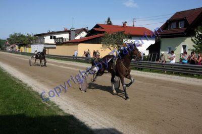 20120501_08_75.JPG