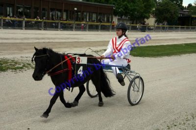 20120506_00_46.JPG