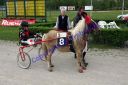 Dateiname=20120506_03_129.JPG
Dateigröße=132KB
Abmessungen: 750x500
hinzugefügt am: 30. August 2016 20120506_03_129.JPG