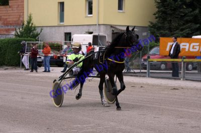 20120506_05_01.JPG