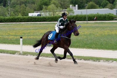 20120506_06_15.JPG