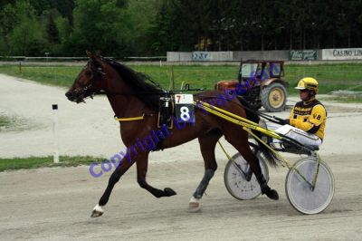 20120506_07_15.JPG