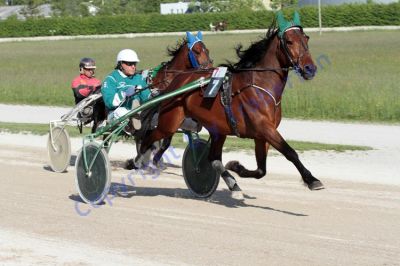 20120517_07_23.JPG