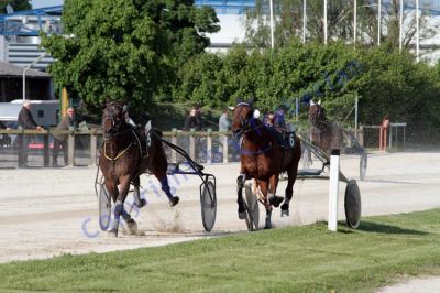 20120517_08_54.JPG