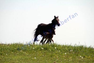 20120519_04_216.JPG