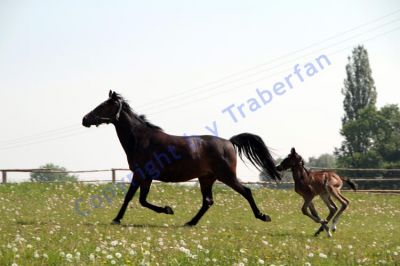 20120519_04_238.JPG