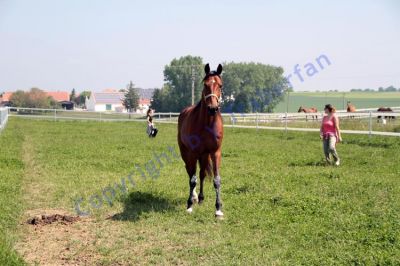 20120519_07_075.JPG
