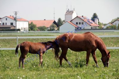 20120519_10_120.JPG