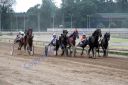 Dateiname=IMG_0058.JPG
Dateigröße=100KB
Abmessungen: 750x500
hinzugefügt am: 01. September 2016 IMG_0058.JPG