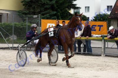 20120610_06_88.JPG