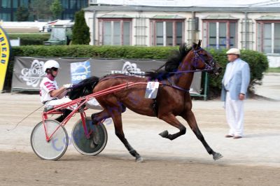 20120617_04_16.JPG